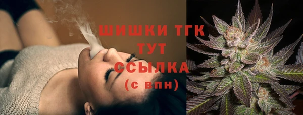 индика Елабуга