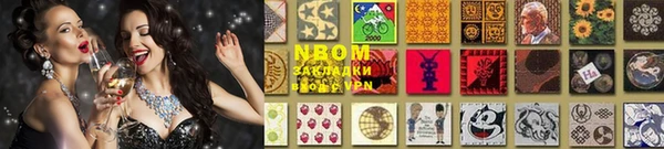 индика Елабуга
