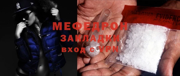 индика Елабуга