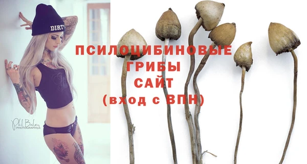 индика Елабуга