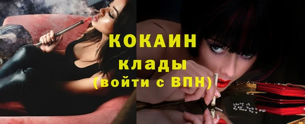 мдма Ельня
