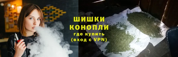индика Елабуга