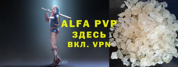 индика Елабуга