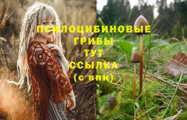 мдма Ельня
