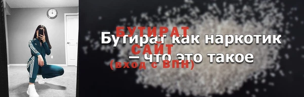 индика Елабуга