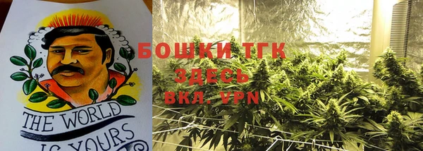 индика Елабуга