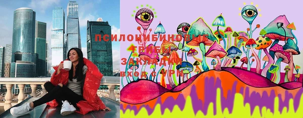 мдма Ельня