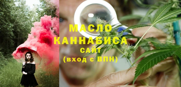 индика Елабуга