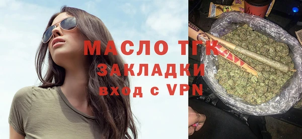 индика Елабуга