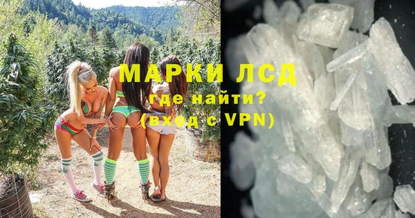 индика Елабуга