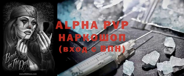 индика Елабуга