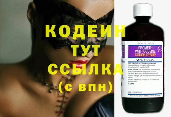 индика Елабуга