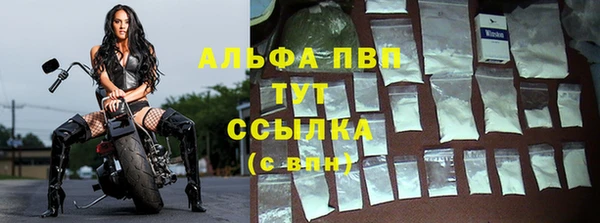 индика Елабуга