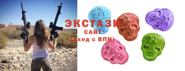 индика Елабуга