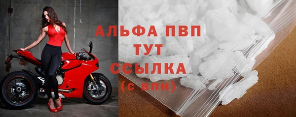 индика Елабуга